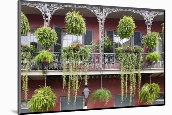 Architecture, French Quarter, New Orleans, Louisiana, USA-Jamie & Judy Wild-Mounted Photographic Print