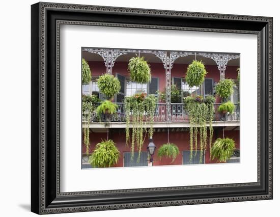 Architecture, French Quarter, New Orleans, Louisiana, USA-Jamie & Judy Wild-Framed Photographic Print