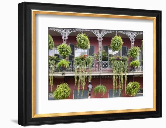 Architecture, French Quarter, New Orleans, Louisiana, USA-Jamie & Judy Wild-Framed Photographic Print