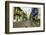 Architecture in the Plaza de San Pedro Claver, Cartagena, Colombia-Jerry Ginsberg-Framed Photographic Print