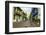 Architecture in the Plaza de San Pedro Claver, Cartagena, Colombia-Jerry Ginsberg-Framed Photographic Print