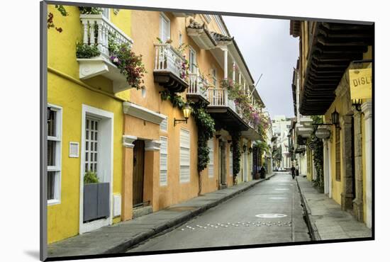 Architecture in the San Diego Section, Cartagena, Colombia-Jerry Ginsberg-Mounted Photographic Print