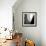 Architecture Shapes-Craig Roberts-Framed Photographic Print displayed on a wall