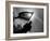 Archmason-Craig Roberts-Framed Photographic Print