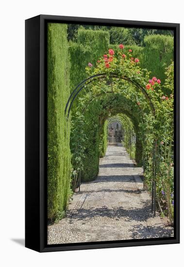 Archway of trees in the gardens of the Alhambra, Granada, Spain.-Julie Eggers-Framed Premier Image Canvas