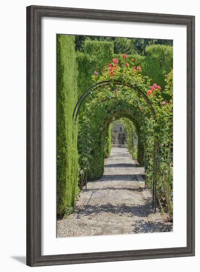 Archway of trees in the gardens of the Alhambra, Granada, Spain.-Julie Eggers-Framed Photographic Print