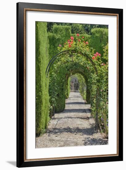 Archway of trees in the gardens of the Alhambra, Granada, Spain.-Julie Eggers-Framed Photographic Print