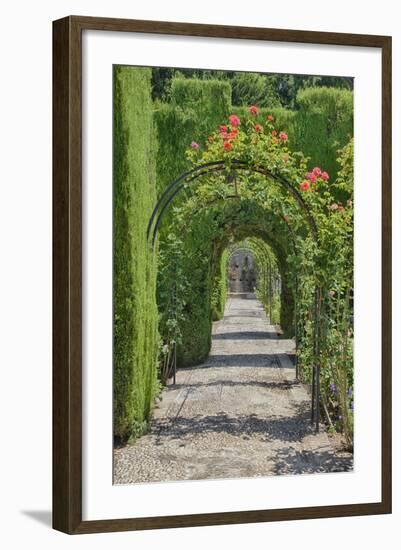 Archway of trees in the gardens of the Alhambra, Granada, Spain.-Julie Eggers-Framed Photographic Print