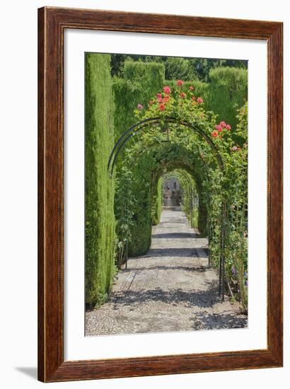 Archway of trees in the gardens of the Alhambra, Granada, Spain.-Julie Eggers-Framed Photographic Print