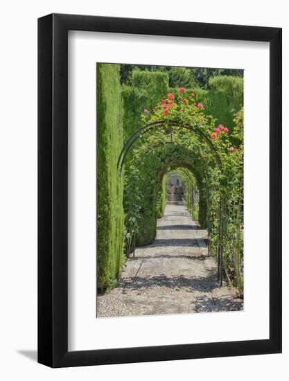 Archway of trees in the gardens of the Alhambra, Granada, Spain.-Julie Eggers-Framed Photographic Print