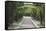 Archway & Path, Nasville, Tennessee ‘10-Monte Nagler-Framed Stretched Canvas