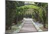 Archway & Path, Nasville, Tennessee ‘10-Monte Nagler-Mounted Photographic Print