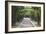 Archway & Path, Nasville, Tennessee ‘10-Monte Nagler-Framed Photographic Print