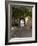 Archway to Pool at Tierra del Sol Golf Club and Spa, Aruba, Caribbean-Lisa S^ Engelbrecht-Framed Photographic Print