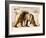 Arctic, 1999-Mark Adlington-Framed Giclee Print