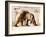 Arctic, 1999-Mark Adlington-Framed Giclee Print