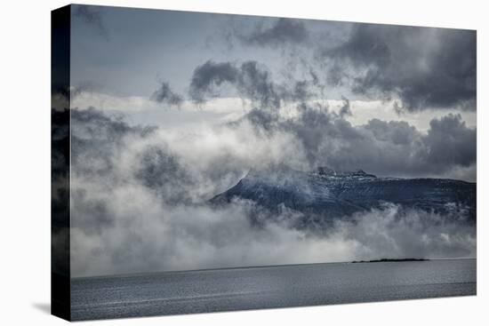 Arctic Abundance-Andrew Geiger-Framed Stretched Canvas