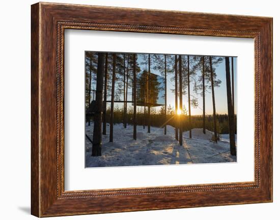 Arctic Circle, Lapland, Scandinavia, Sweden, the Tree Hotel, the Mirror Cube Room-Christian Kober-Framed Photographic Print