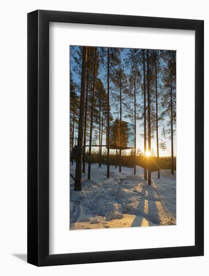 Arctic Circle, Lapland, Scandinavia, Sweden, the Tree Hotel, the Mirror Cube Room-Christian Kober-Framed Photographic Print