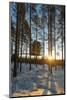 Arctic Circle, Lapland, Scandinavia, Sweden, the Tree Hotel, the Mirror Cube Room-Christian Kober-Mounted Photographic Print