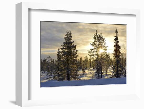 Arctic Circle, Lapland, Scandinavia, Sweden, Winter Landscape-Christian Kober-Framed Photographic Print