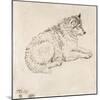 Arctic Dog, Facing Right (Pencil on Paper)-James Ward-Mounted Giclee Print