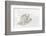 Arctic Fox in snow, Montana, Vulpes Fox.-Adam Jones-Framed Photographic Print