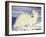 Arctic Fox in Winter Coat, Alaska, USA-Jim Zuckerman-Framed Photographic Print