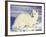 Arctic Fox in Winter Coat, Alaska, USA-Jim Zuckerman-Framed Photographic Print