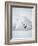 Arctic Fox in Winter Coat, Alaska, USA-Jim Zuckerman-Framed Photographic Print