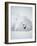 Arctic Fox in Winter Coat, Alaska, USA-Jim Zuckerman-Framed Photographic Print