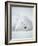 Arctic Fox in Winter Coat, Alaska, USA-Jim Zuckerman-Framed Photographic Print