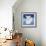 Arctic Fox-Betz White-Framed Art Print displayed on a wall