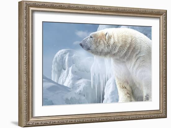 Arctic Frost-Gordon Semmens-Framed Photographic Print