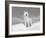 Arctic Grey Wolf in Snow, Idaho, USA-Tom Vezo-Framed Photographic Print