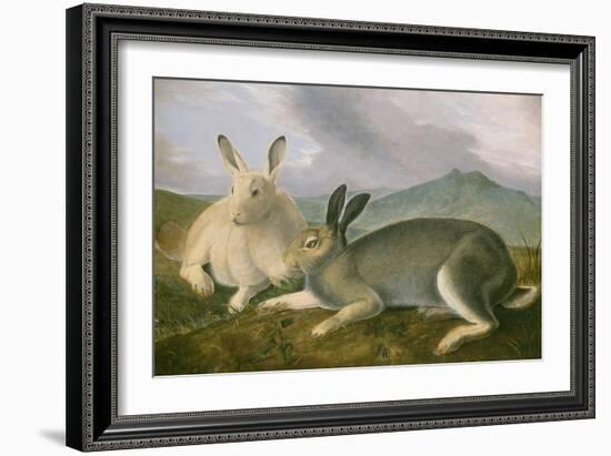 Arctic Hare, 1841-John James Audubon-Framed Art Print