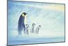 Arctic Home-Joh Naito-Mounted Giclee Print