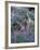 Arctic Lupine, Olympic National Park, Washington, USA-William Sutton-Framed Photographic Print