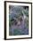 Arctic Lupine, Olympic National Park, Washington, USA-William Sutton-Framed Photographic Print