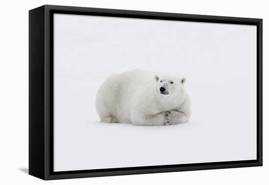 Arctic, north of Svalbard. A polar bear rests on the edge of a slab of pack ice.-Ellen Goff-Framed Premier Image Canvas