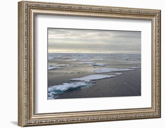 Arctic Ocean, Norway, Scandinavia, Europe-G&M Therin-Weise-Framed Photographic Print