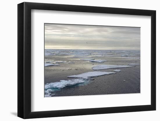Arctic Ocean, Norway, Scandinavia, Europe-G&M Therin-Weise-Framed Photographic Print
