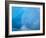 Arctic Ocean, Norway, Svalbard. Close-Up of Glacier Ice-Jaynes Gallery-Framed Photographic Print