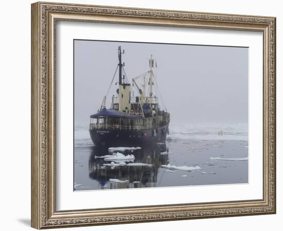 Arctic Ocean, Norway, Svalbard. Ship Asea and Polar Bear-Jaynes Gallery-Framed Photographic Print