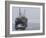 Arctic Ocean, Norway, Svalbard. Ship Asea and Polar Bear-Jaynes Gallery-Framed Photographic Print