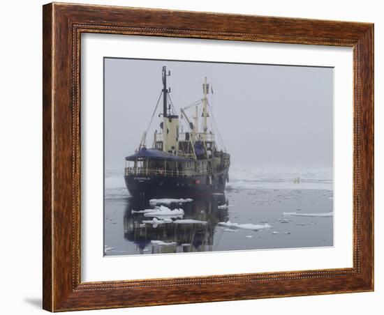 Arctic Ocean, Norway, Svalbard. Ship Asea and Polar Bear-Jaynes Gallery-Framed Photographic Print