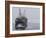 Arctic Ocean, Norway, Svalbard. Ship Asea and Polar Bear-Jaynes Gallery-Framed Photographic Print