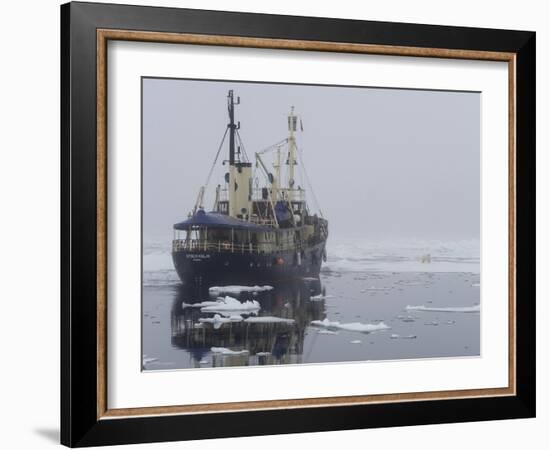 Arctic Ocean, Norway, Svalbard. Ship Asea and Polar Bear-Jaynes Gallery-Framed Photographic Print