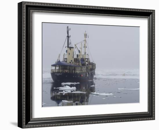 Arctic Ocean, Norway, Svalbard. Ship Asea and Polar Bear-Jaynes Gallery-Framed Photographic Print