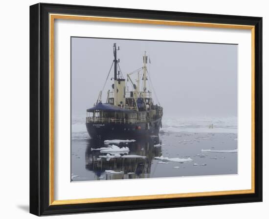 Arctic Ocean, Norway, Svalbard. Ship Asea and Polar Bear-Jaynes Gallery-Framed Photographic Print